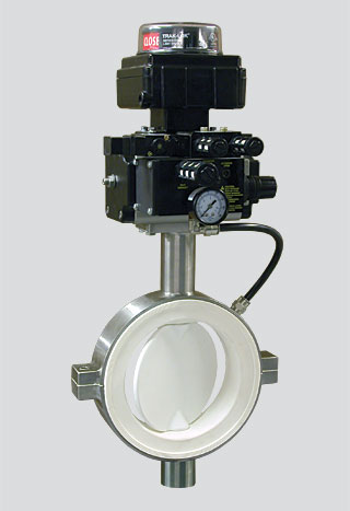 Series 486 - 6" Valve