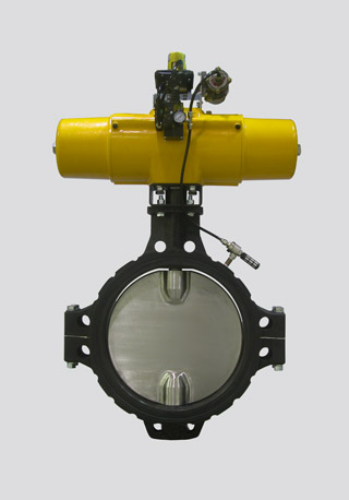 Series 486 - 20" Valve