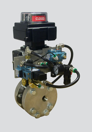 Series 486 - 2" Valve