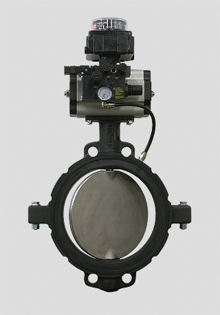 Series 486 - 10" Valve