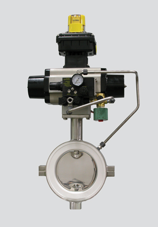 Series 486 - 6" Valve